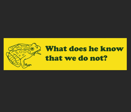 SECONDS- Wise Frog Bumper Sticker - FADING ISSUES